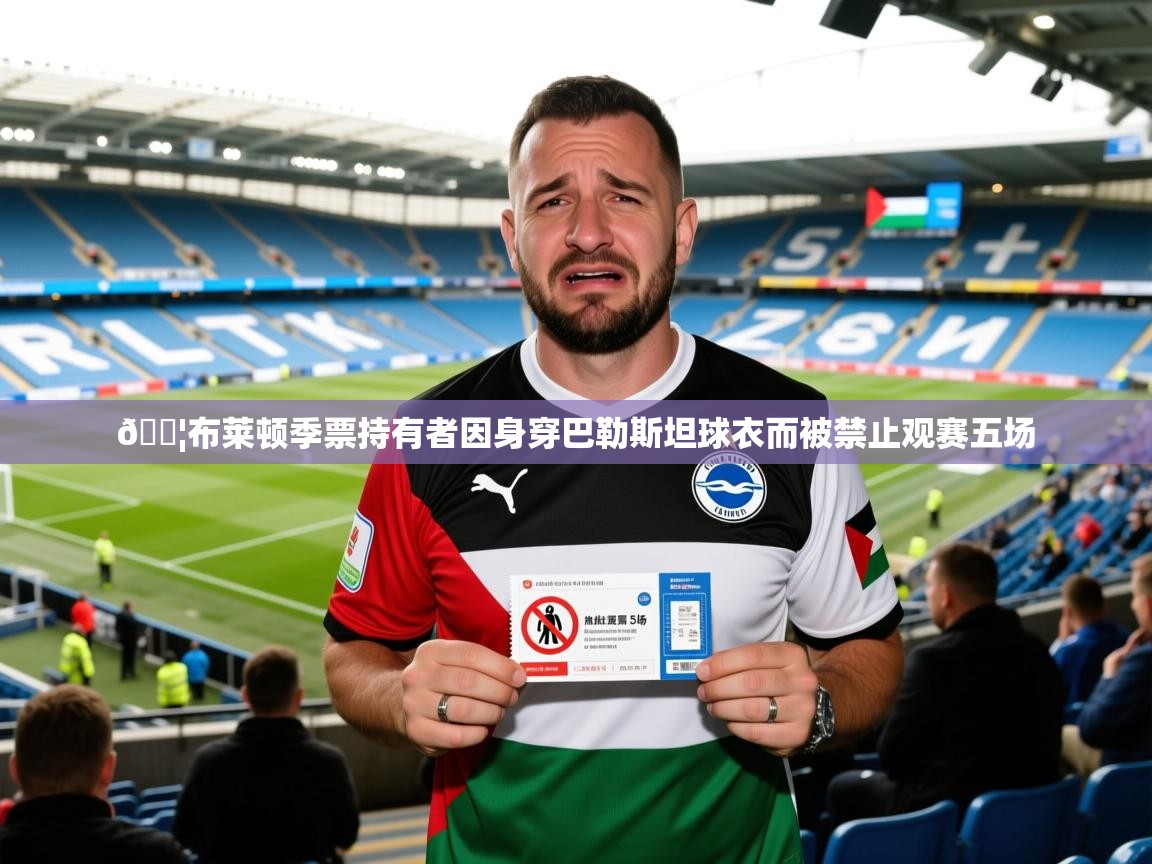 2025爱游戏体育(中国)官方网站😦布莱顿季票持有者因身穿巴勒斯坦球衣而被禁止观赛五场 第3张