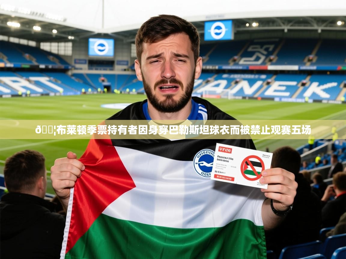 2025爱游戏体育(中国)官方网站😦布莱顿季票持有者因身穿巴勒斯坦球衣而被禁止观赛五场 第4张