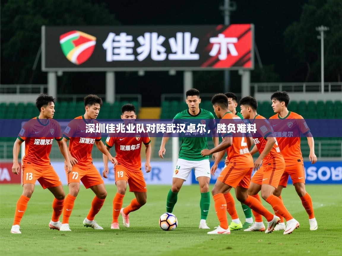 2026爱游戏体育网页版官方入口深圳佳兆业队对阵武汉卓尔，胜负难料  第1张