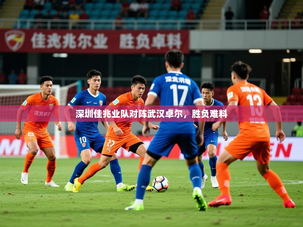 2026爱游戏体育网页版官方入口深圳佳兆业队对阵武汉卓尔，胜负难料  第2张