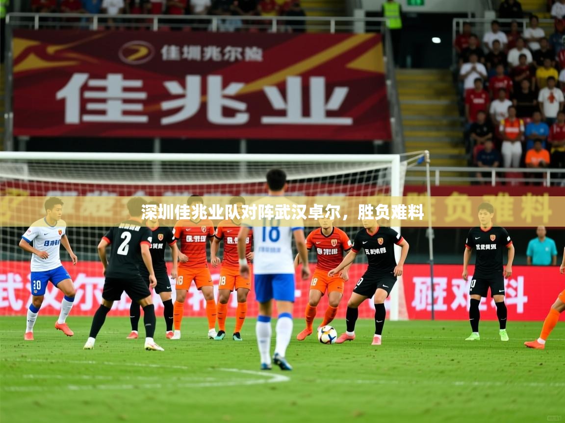 2026爱游戏体育网页版官方入口深圳佳兆业队对阵武汉卓尔，胜负难料  第3张