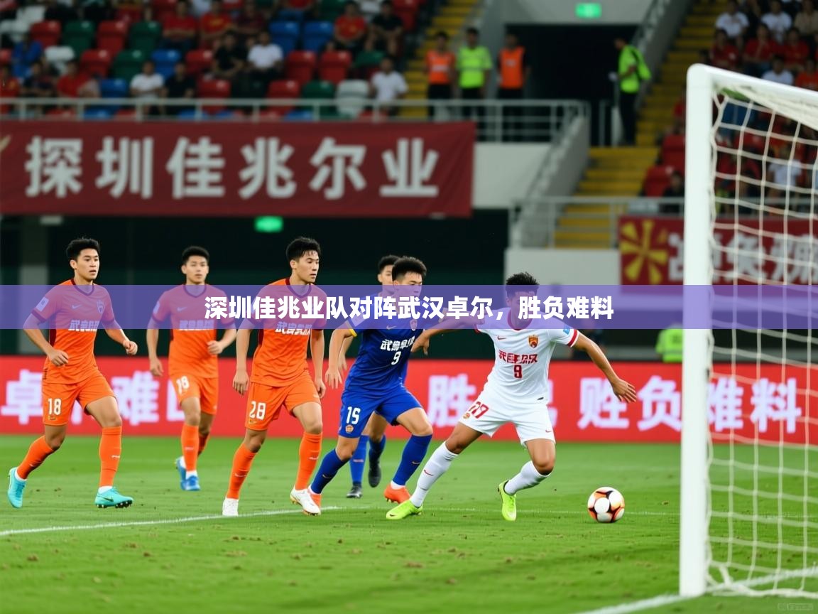 2026爱游戏体育网页版官方入口深圳佳兆业队对阵武汉卓尔，胜负难料  第4张